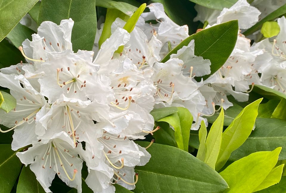 June 2024 Newsletter